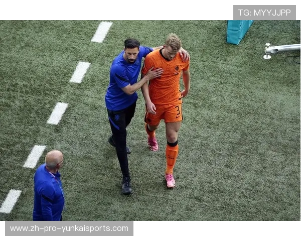 06世界杯范尼进球(范尼国家队进球)sports